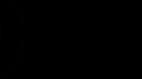 16336